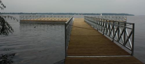 Złotniki